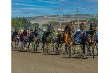 Hippodrome de Marianne ©TourismeHautsTolosans