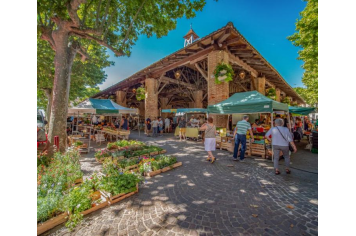 Marché de Grenade ©TourismeHautsTolosans